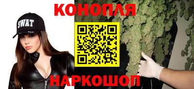 сатива Ирбит
