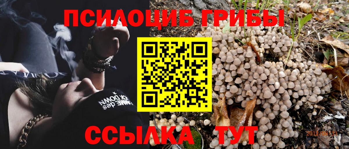 Псилоцибиновые грибы Magic Shrooms Кострома