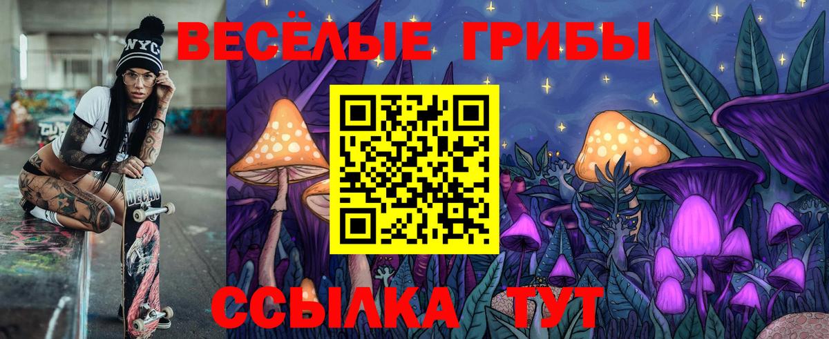 дарнет шоп  Галлюциногенные грибы Psilocybine cubensis  Вход с VPN  Кострома 